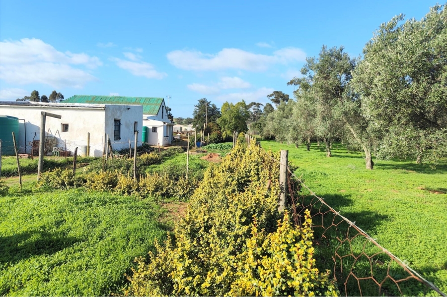 3 Bedroom Property for Sale in Moorreesburg Rural Western Cape